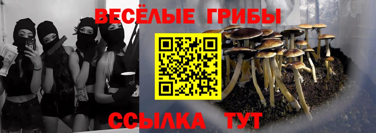 Галлюциногенные грибы прущие грибы  где найти наркотики  Сургут  Псилоцибиновые грибы ЛСД  Вход с VPN 
